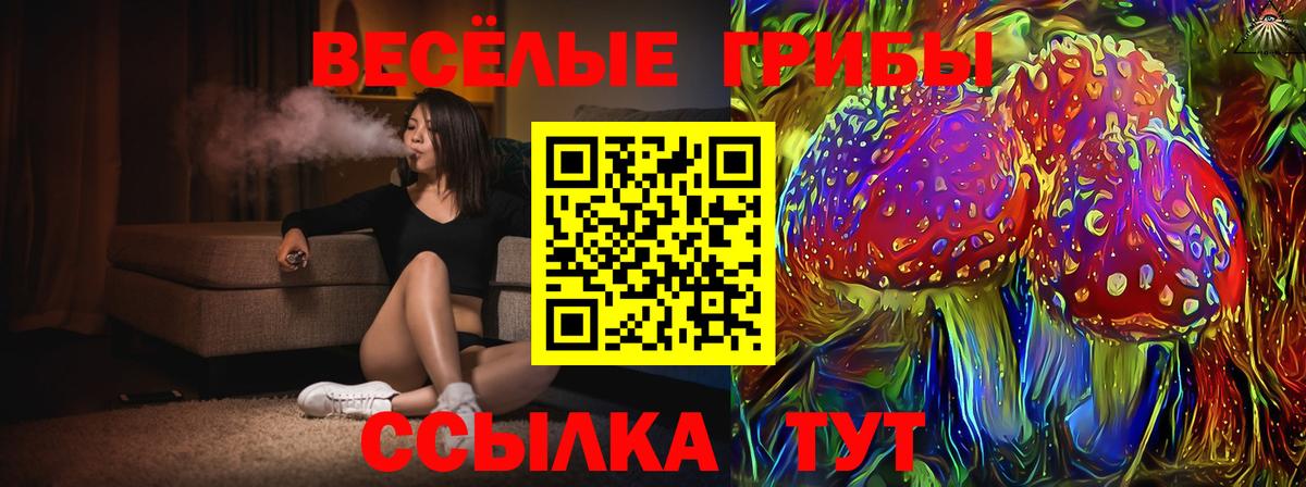 Псилоцибиновые грибы мухоморы  Вход с VPN  Алексин 