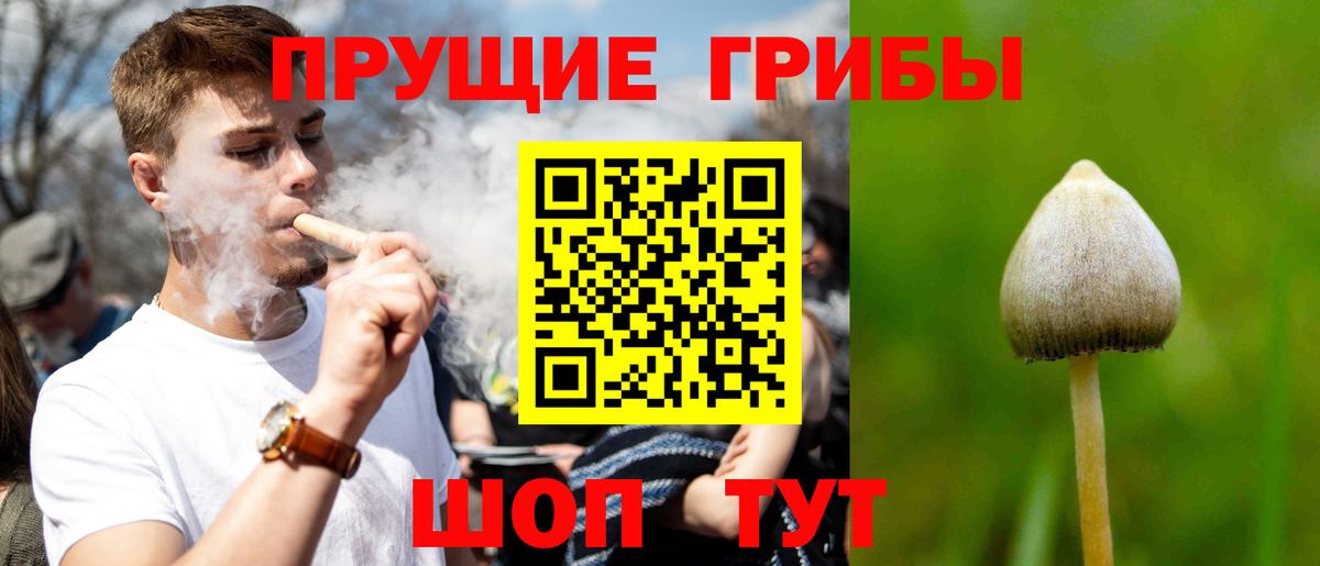 Псилоцибиновые грибы MAGIC MUSHROOMS Алексин
